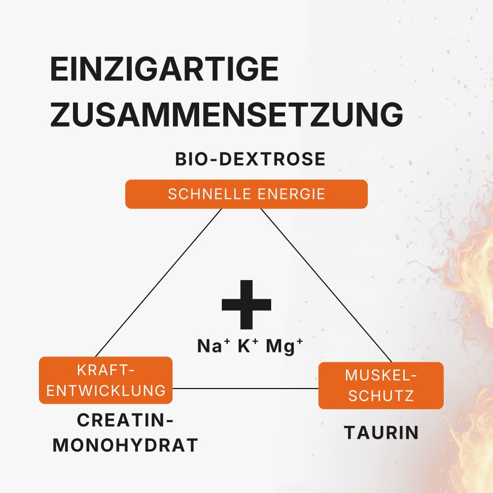 Zusammensetzung Sport Mischung - Energie, Kraft und Muskelschutz - The Minerals Sports
