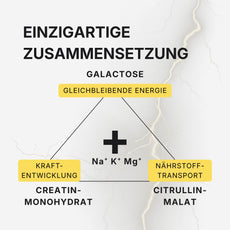 Wirkung Donner Mischung: Energie, Kraft und Nährstofftransport - The Minerals Sports 