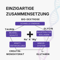Zusammensetzung Regenerations Mischung - Glycin, L-Glutamin, Elektrolyte - The Minerals Sports