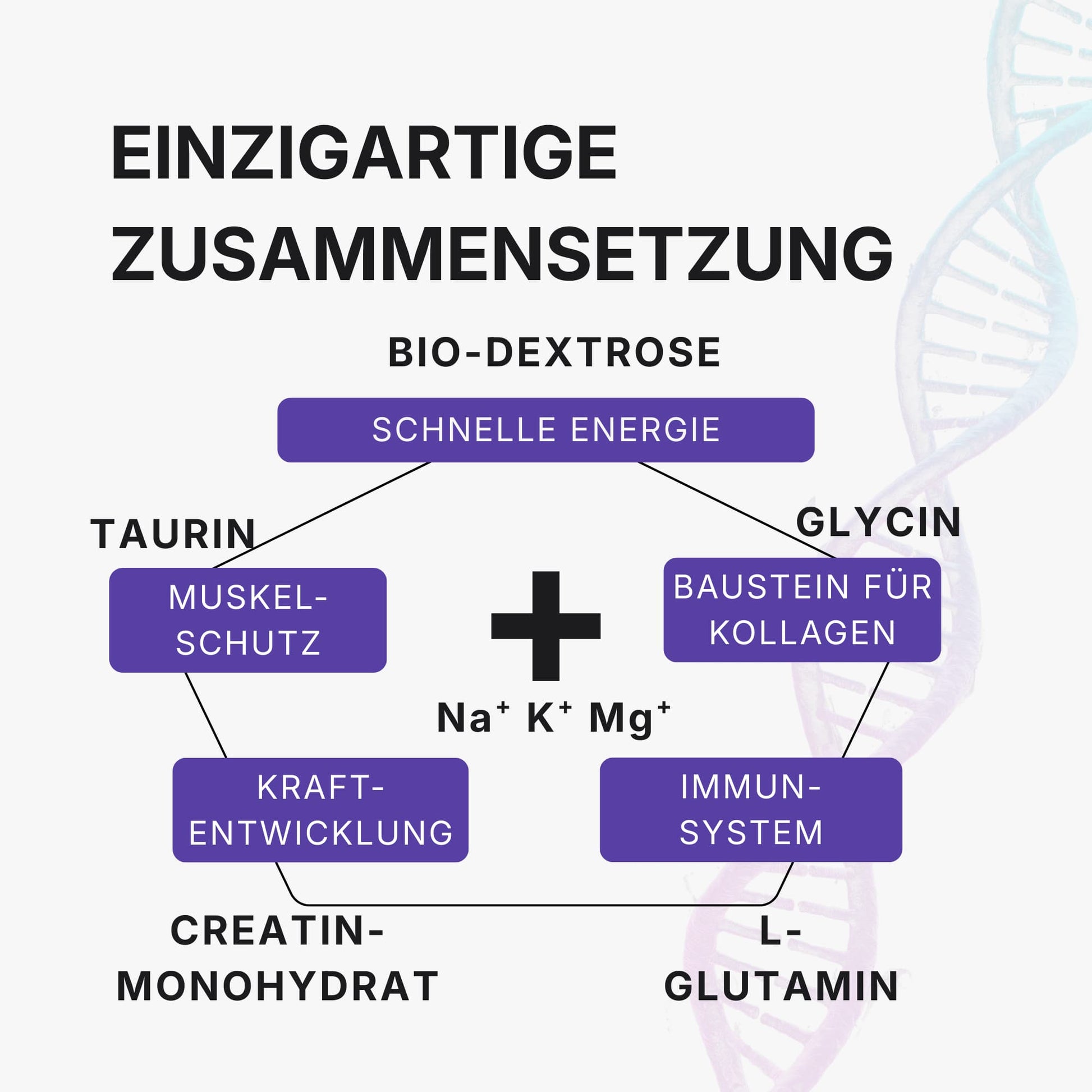 Zusammensetzung Regenerations Mischung - Glycin, L-Glutamin, Elektrolyte - The Minerals Sports