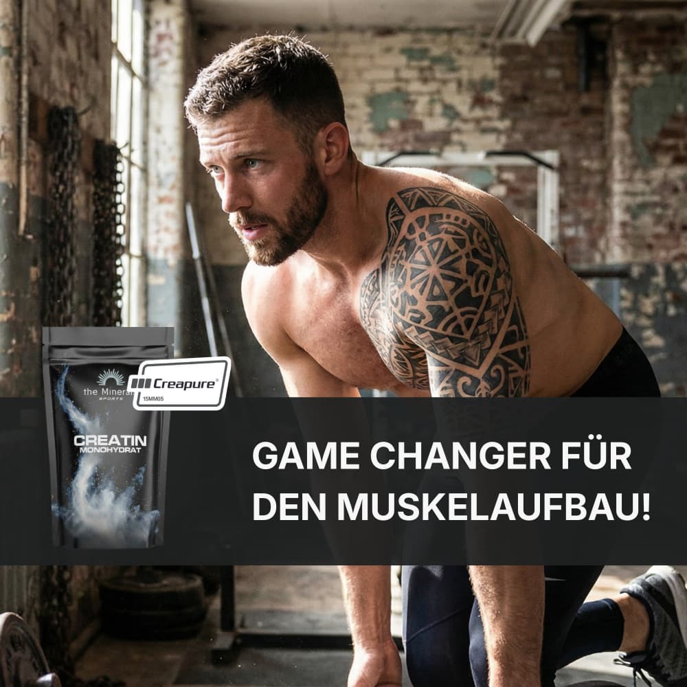 Krafttraining mit Creatin Creapure - Game changer für den Muskelaufbau - The Minerals Sports